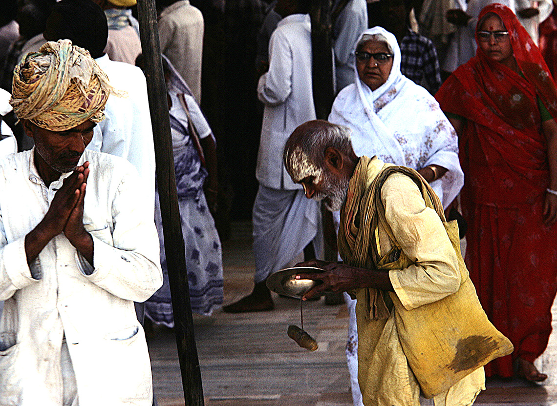 rajasthan 11