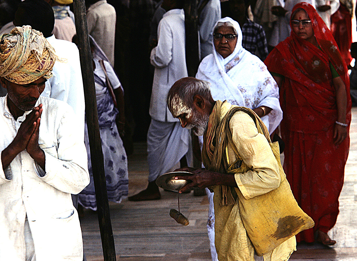 rajasthan 12