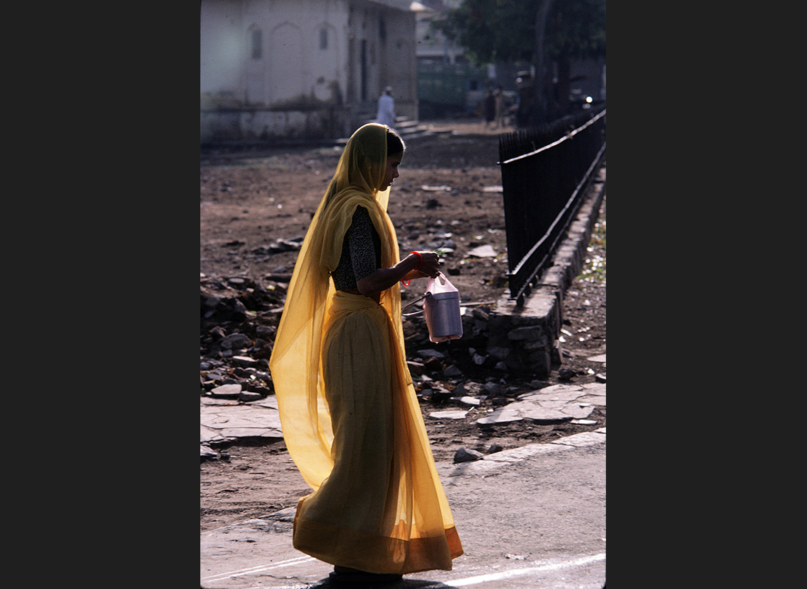 rajasthan 7